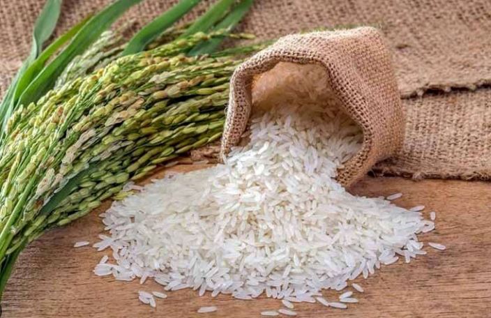 چرا فروش عمده برنج هندی و پاکستانی رستمی بهترین انتخاب است؟